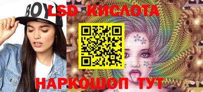 гидропоника Канаш