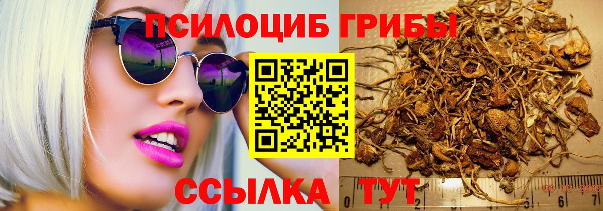 Галлюциногенные грибы мухоморы  наркотики  Вход с VPN  Луга  Псилоцибиновые грибы GOLDEN TEACHER 